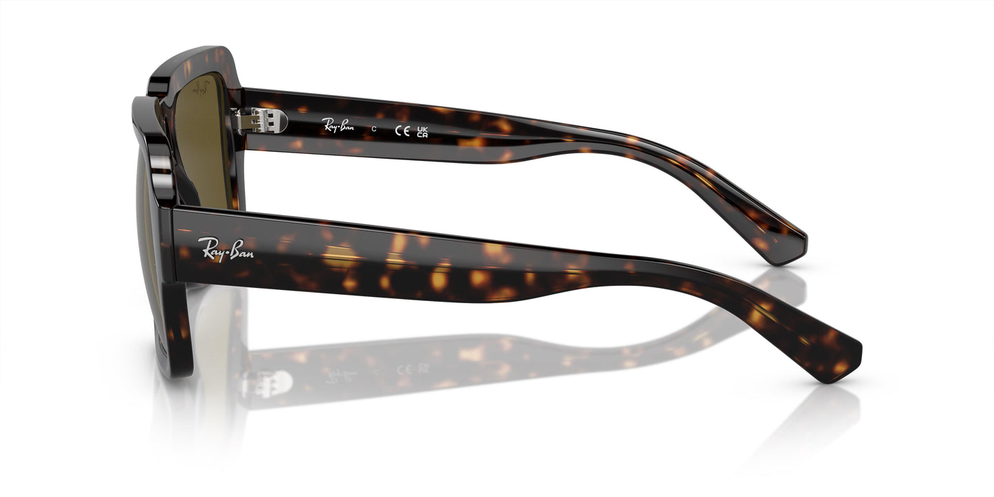 Ray-Ban RB4408 MAGELLAN 135973 54