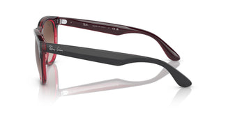 Ray-Ban RB4471 IRIS 663113 54