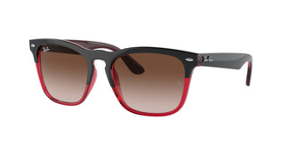 Ray-Ban RB4487 STEVE 663113 54