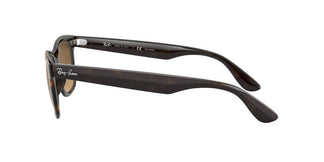 Ray-Ban RB4640 710/M2 50