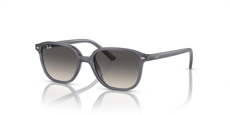 Ray-Ban Kids RJ9093S LEONARD 713411 45