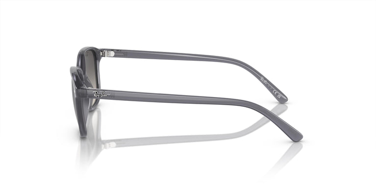 Ray-Ban Kids RJ9093S LEONARD 713411 45