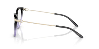 Ralph Lauren RL6231U 6021 53