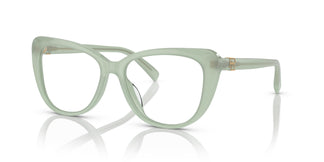 Ralph Lauren RL6232U 6082 54