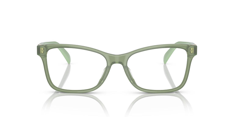 Ralph Lauren RL6233U 6049 54