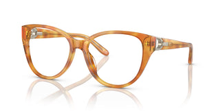 Ralph Lauren RL6234BU 6051 53