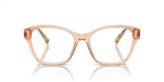 Ralph Lauren RL6236U 6110 53