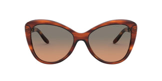 Ralph Lauren RL8184 - 500718 - Shiny Striped Havana - 56 mm