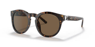 Ralph Lauren RL8204QU 500373 50