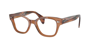 Ray-Ban RX0880 8180 49