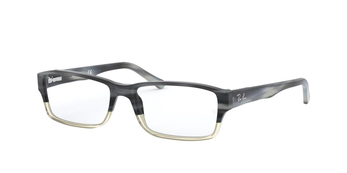 Ray-Ban RX5169 5540 54