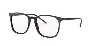 Ray-Ban RX5387 2012 54