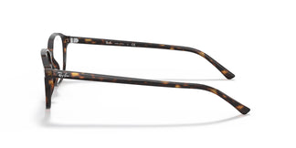 Ray-Ban RX5393 LEONARD 2012 49