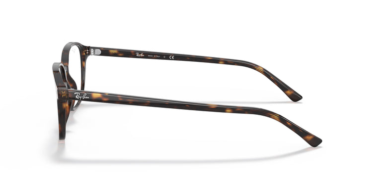 Ray-Ban RX5393 LEONARD 2012 51