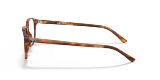 Ray-Ban RX5393 LEONARD 2144 49
