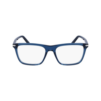 Salvatore Ferragamo SF2959 414 55