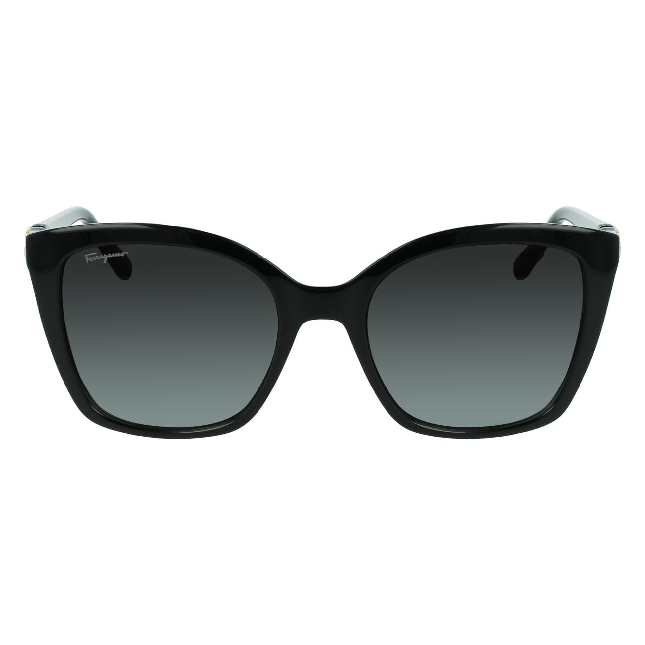 Salvatore Ferragamo SF1026S 001 54