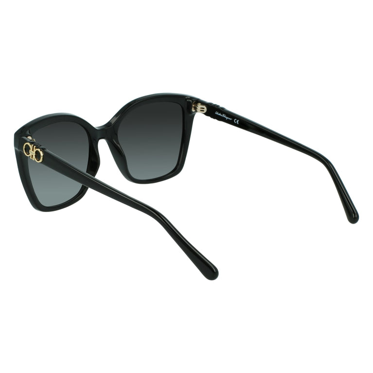 Salvatore Ferragamo SF1026S 001 54