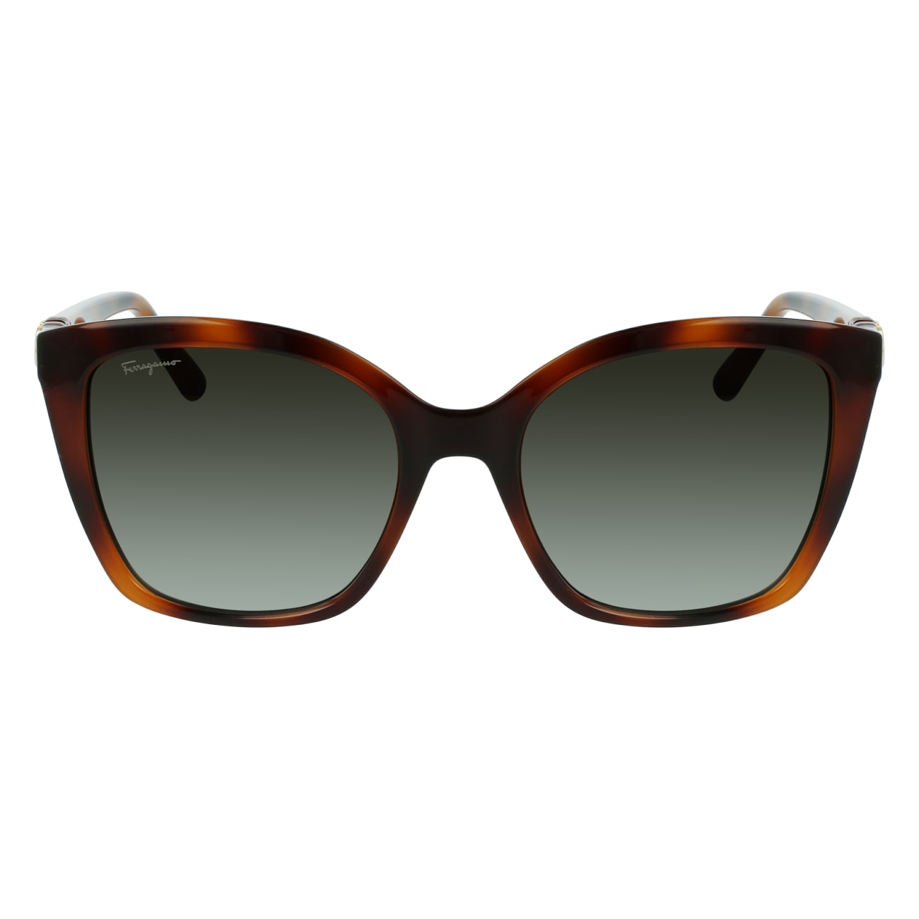 Salvatore Ferragamo SF1026S 214 54