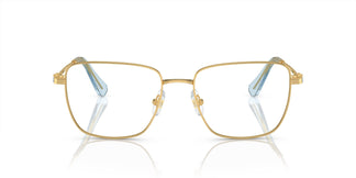 Swarovski SK1003 4021 55