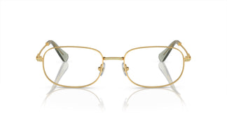 Swarovski SK1005 4004 54