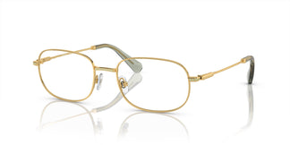 Swarovski SK1005 4004 52