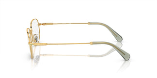 Swarovski SK1005 4004 52