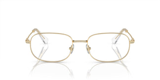 Swarovski SK1005 4013 54