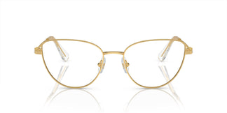 Swarovski SK1007 4004 53