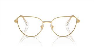 Swarovski SK1007 4004 55