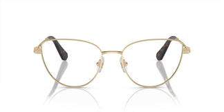 Swarovski SK1007 4013 55