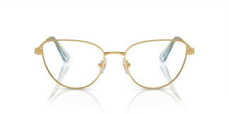 Swarovski SK1007 4021 55