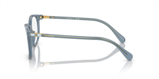 Swarovski SK2002 1035 51