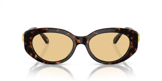 Swarovski SK6002 1002/8 53
