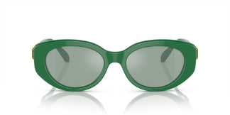Swarovski SK6002 10079C 53