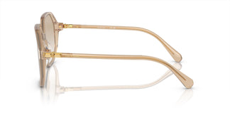Swarovski SK6003 103411 57