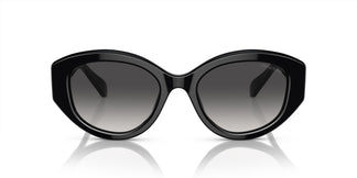 Swarovski SK6005 10018G 53