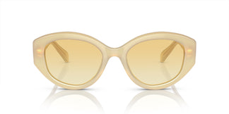 Swarovski SK6005 10232Q 53