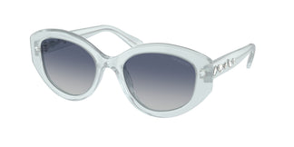 Swarovski SK6005 10244L 53