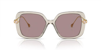 Swarovski SK6011 3003LA 55