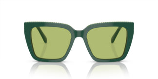 Swarovski SK6013 101730 54