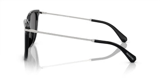 Swarovski SK6015D 100187 55