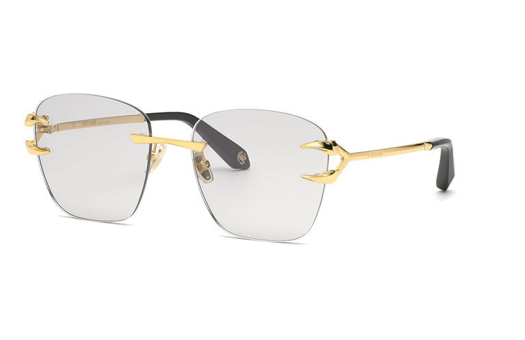 Roberto Cavalli SRC022 400F 58
