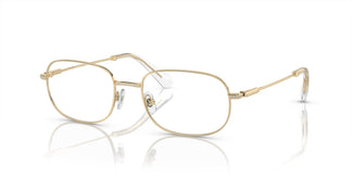 Swarovski SK1005 4013 54