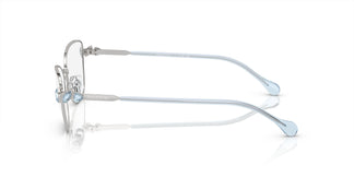 Swarovski SK1006 4020 55