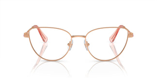 Swarovski SK1007 4014 53
