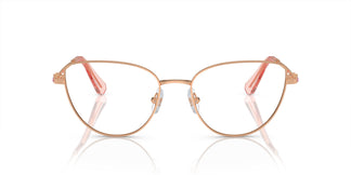 Swarovski SK1007 4014 55