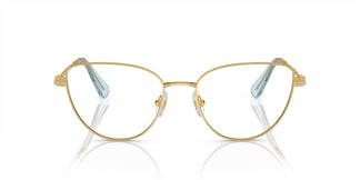 Swarovski SK1007 4021 55
