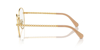 Swarovski SK1013 4004 52