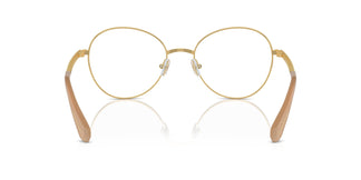 Swarovski SK1013 4004 52